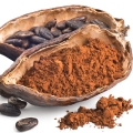 Cocoa bean