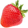 Fragola