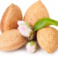 Bitter almond