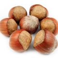 Nocciola