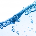 Aquatic notes