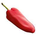 Chili pepper