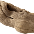 Legno marino