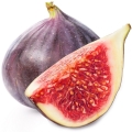 Fig nectar