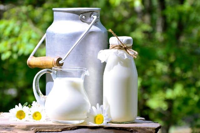 Buffalo milk