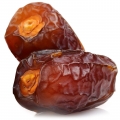 Datteri